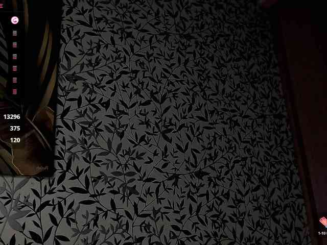 Amellea webcam