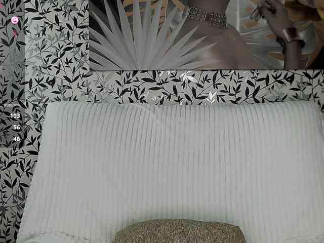 Amellea webcam