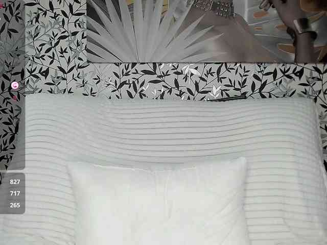 Amellea webcam