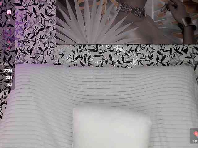 Amellea webcam