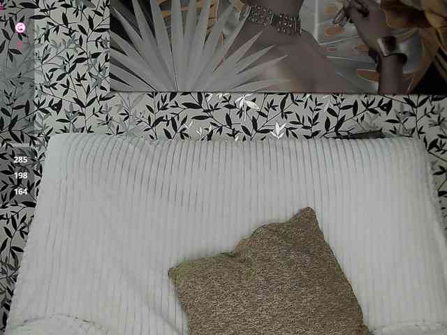 Amellea webcam