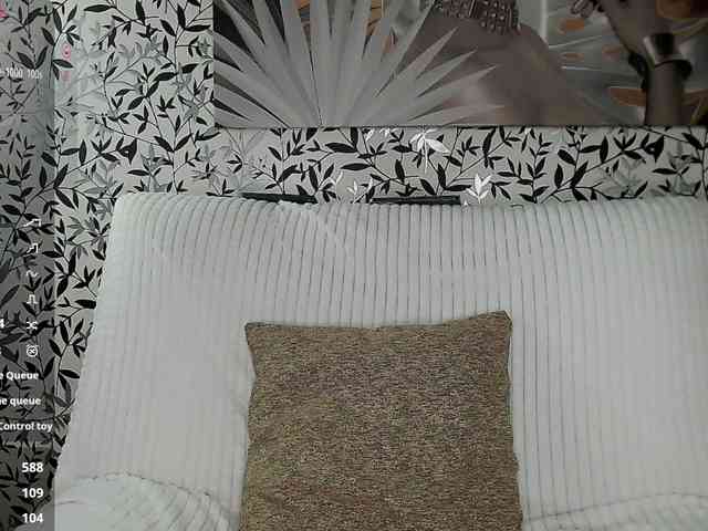 Amellea webcam
