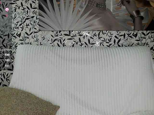 Amellea webcam