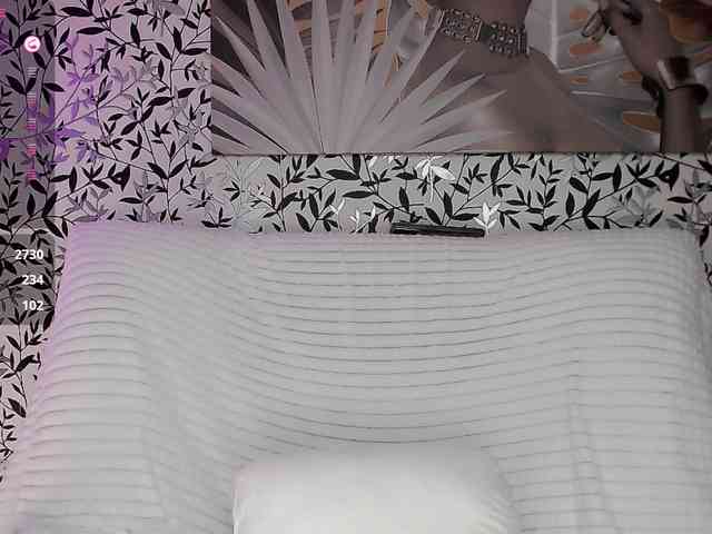 Amellea webcam