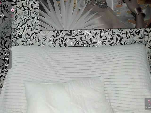 Amellea webcam
