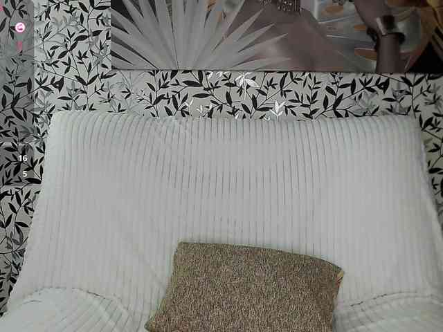 Amellea webcam