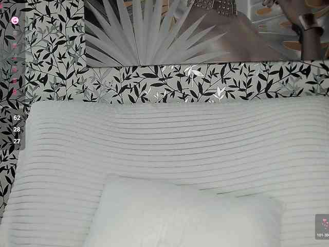 Amellea webcam