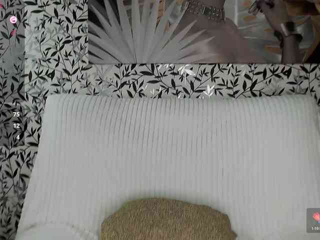 Amellea webcam