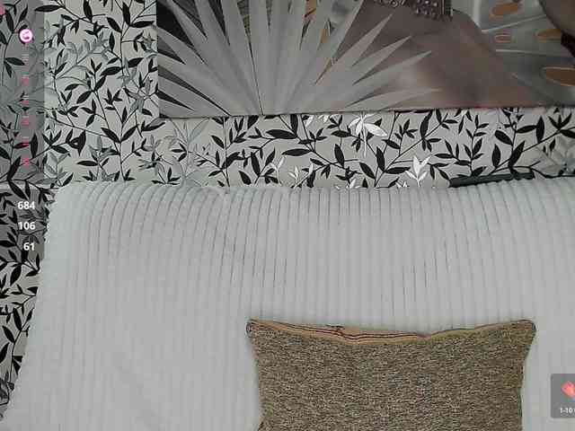 Amellea webcam