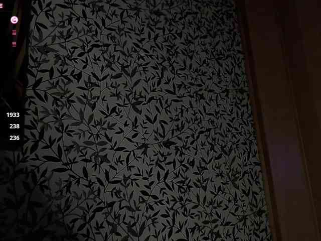 Amellea webcam