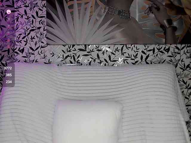 Amellea webcam