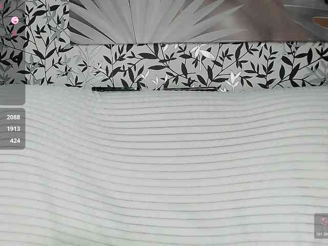 Amellea webcam