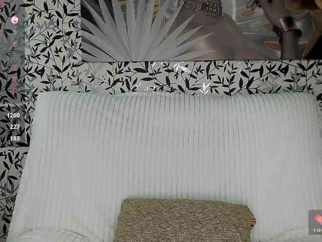 Amellea webcam