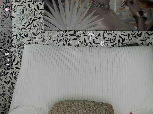 Amellea webcam