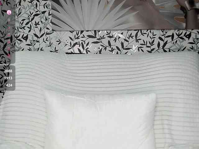 Amellea webcam