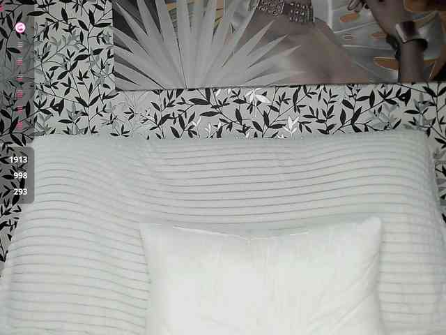 Amellea webcam