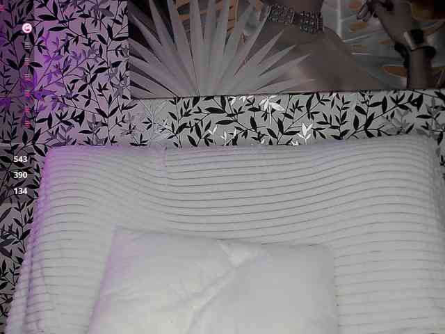 Amellea webcam