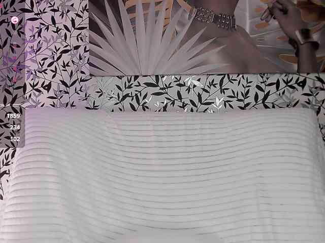 Amellea webcam