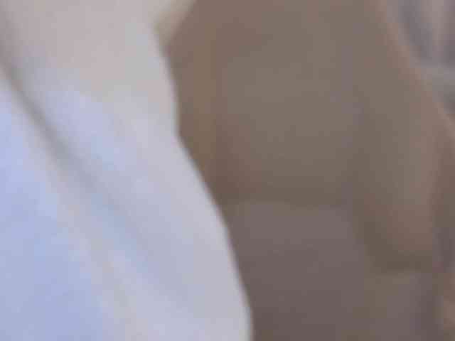 LELEYA webcam
