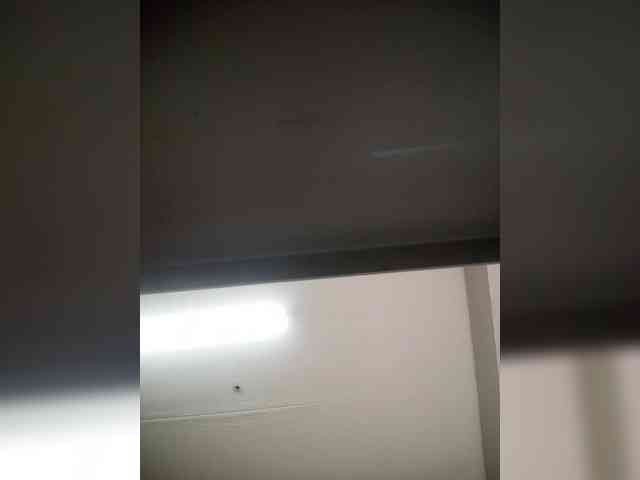 AlexSandi webcam