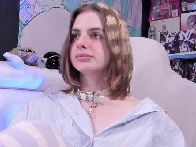 yorogumo webcam