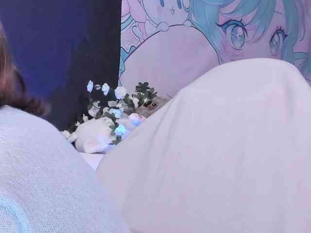 yorogumo webcam
