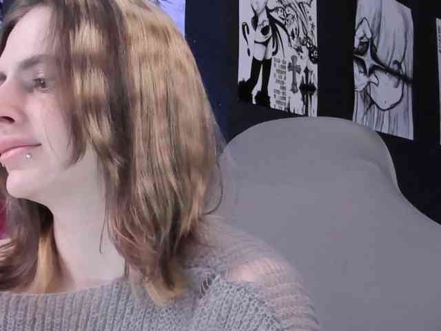 yorogumo webcam