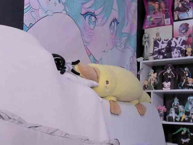 yorogumo webcam