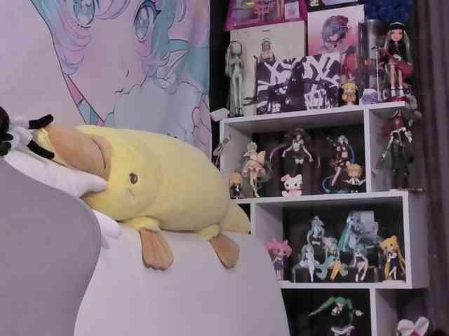 yorogumo webcam