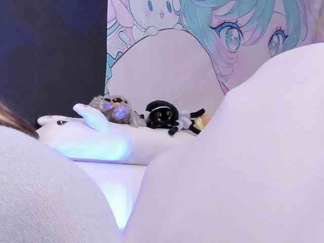 yorogumo webcam