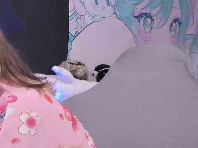 yorogumo webcam