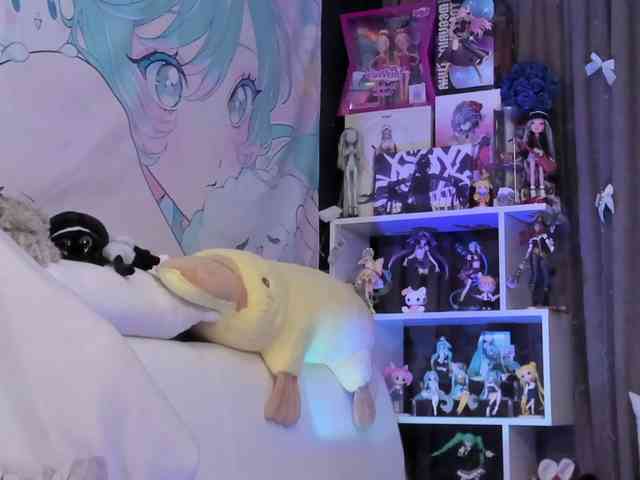 yorogumo webcam