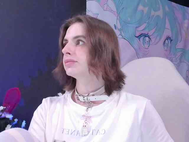 yorogumo webcam