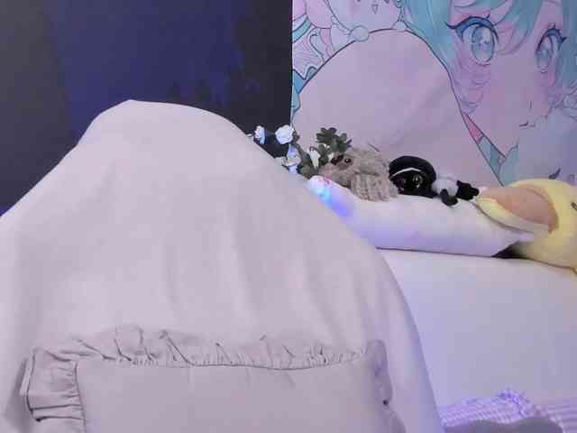 yorogumo webcam