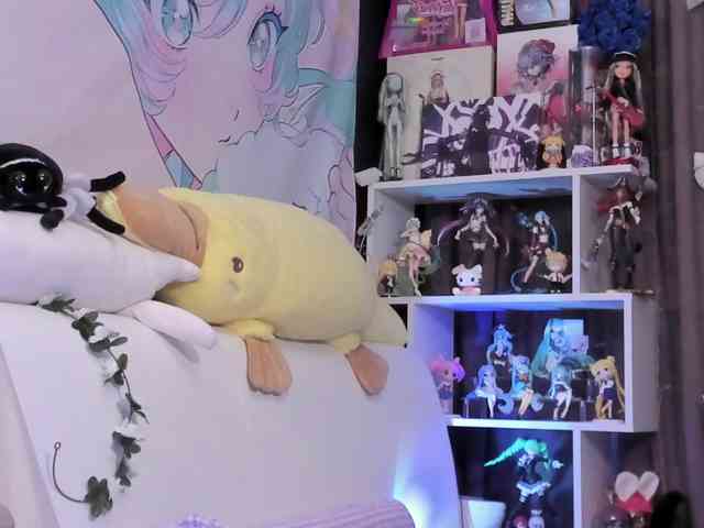 yorogumo webcam