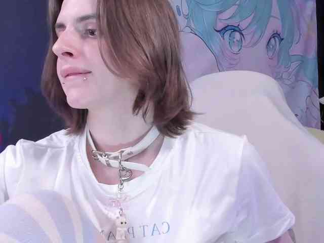 yorogumo webcam