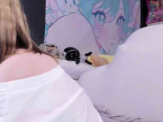 yorogumo webcam