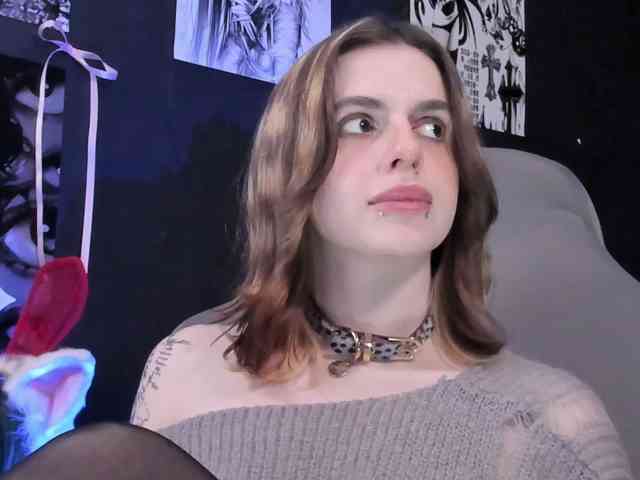 yorogumo webcam