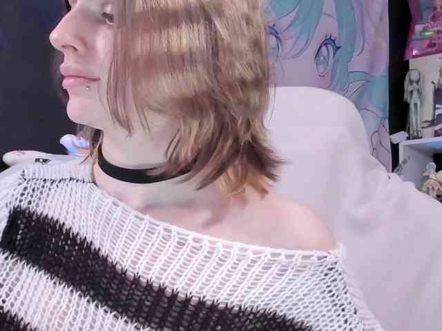 yorogumo webcam