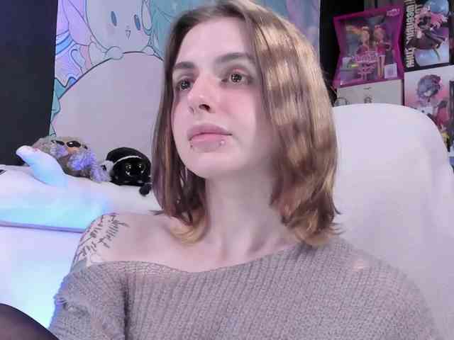 yorogumo webcam