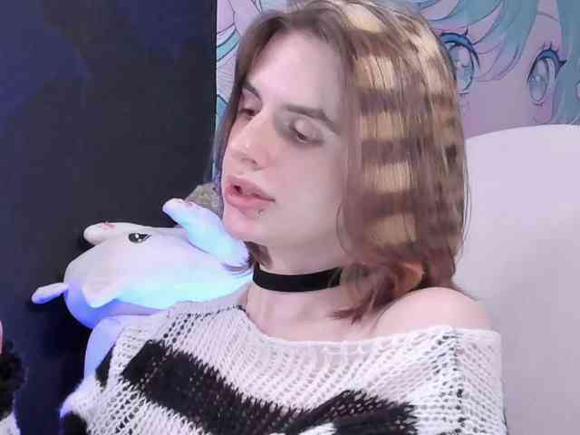 yorogumo webcam