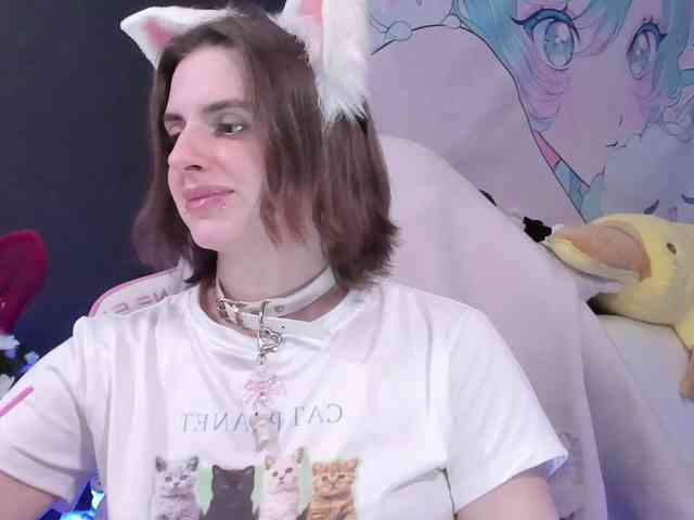 yorogumo webcam