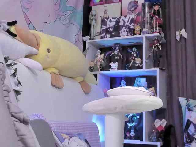 yorogumo webcam