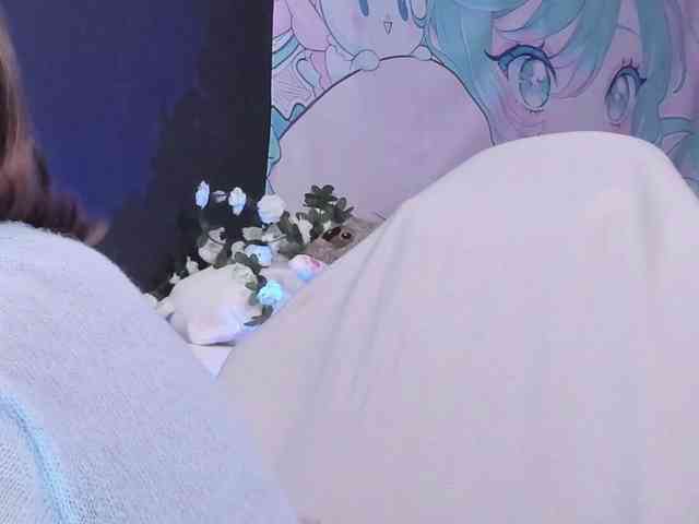 yorogumo webcam