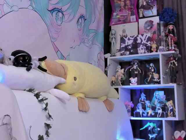 yorogumo webcam