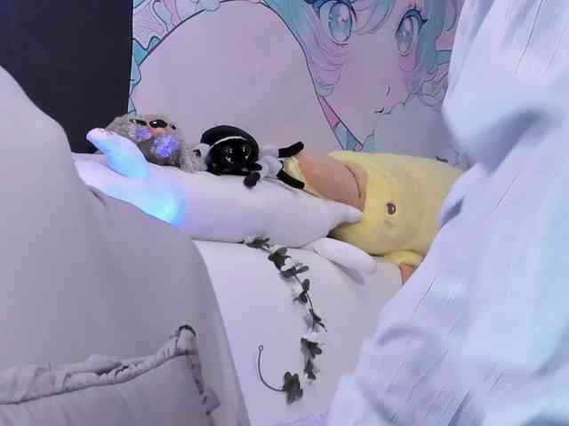 yorogumo webcam