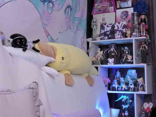 yorogumo webcam