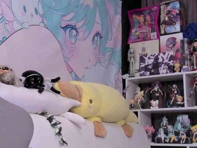 yorogumo webcam