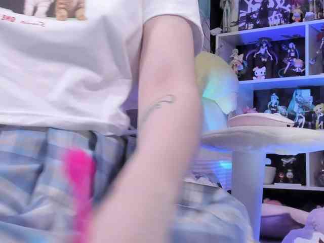 yorogumo webcam
