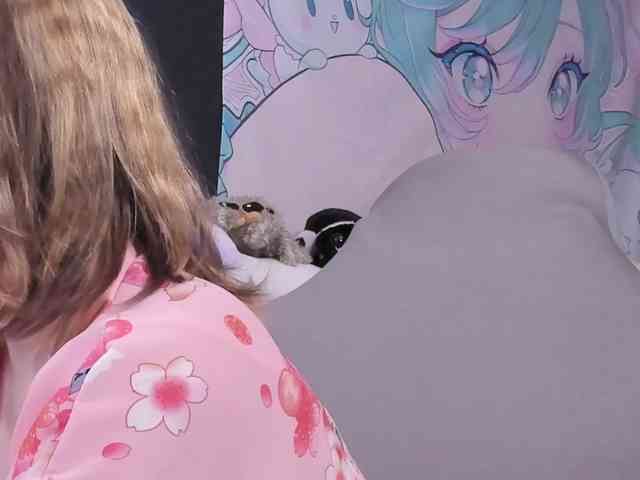 yorogumo webcam